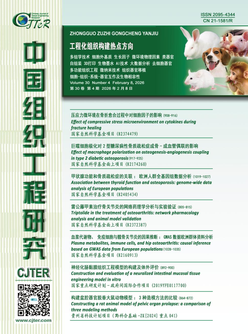 中国组织工程研究